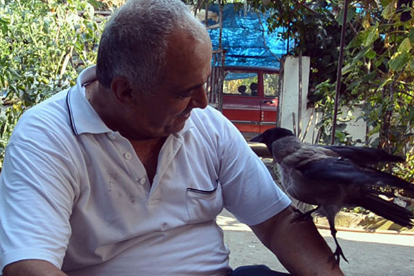 Bekçi karganın sadakati hayran bırakıyor