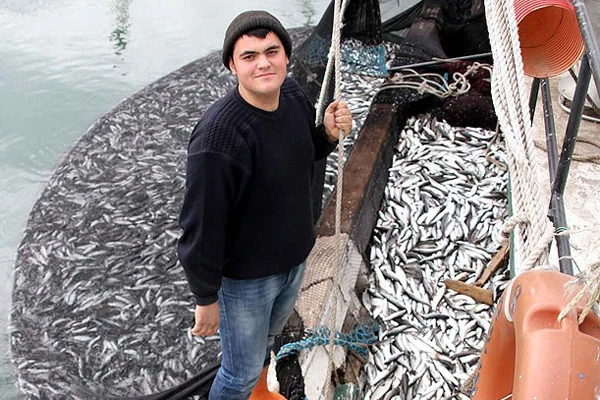 18'lik kaptan kıyıya 30 ton kefalle döndü