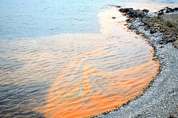 Karadeniz sahillerinde görülen kızıl tabaka yayılıyor