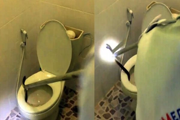 Klozetten yılan çıktı!