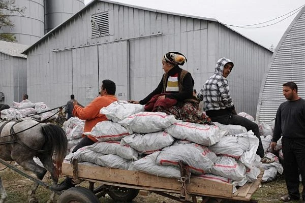 İhtiyaç sahiplerine kömür yardımı yapılacak
