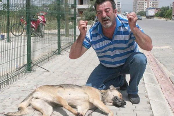 Köpeğe işkence yaparak öldürdüler