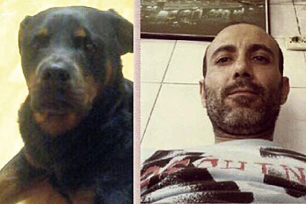 Köpeği kafasını parçaladı