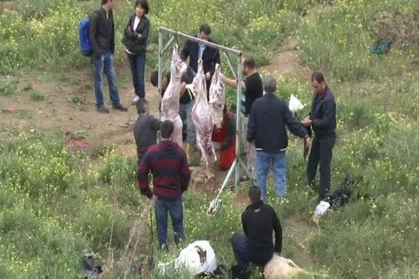 Kurban keserken kalp krizi geçirdi