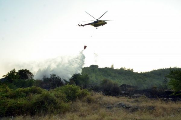 Muğla&#039;da orman yangını meydana geldi