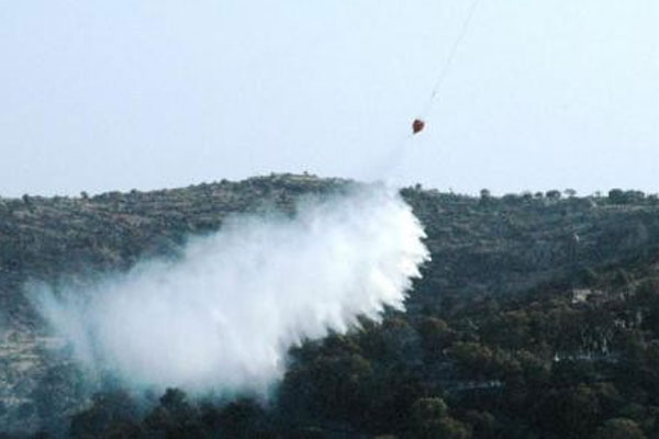 Fethiye&#039;de çıkan orman yangını kontrol altına alındı