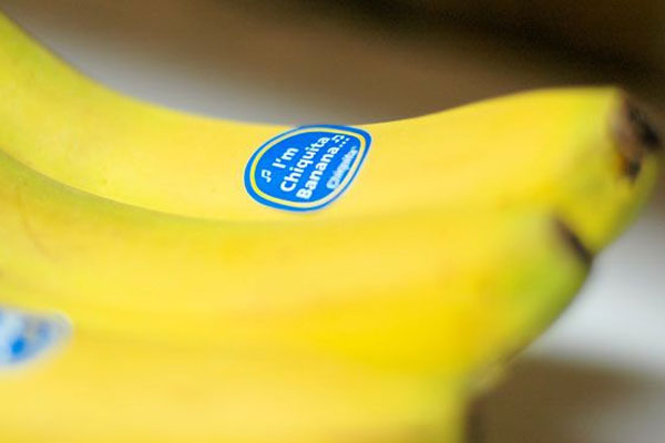 Chiquita muz 742 milyon dolara satılıyor