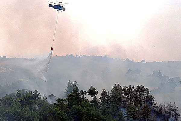 Manisa&#039;da orman yangını