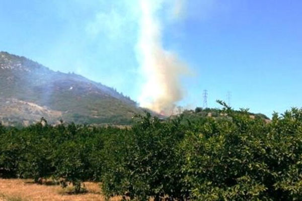 İzmir&#039;de orman yangınları kontrol altına alındı