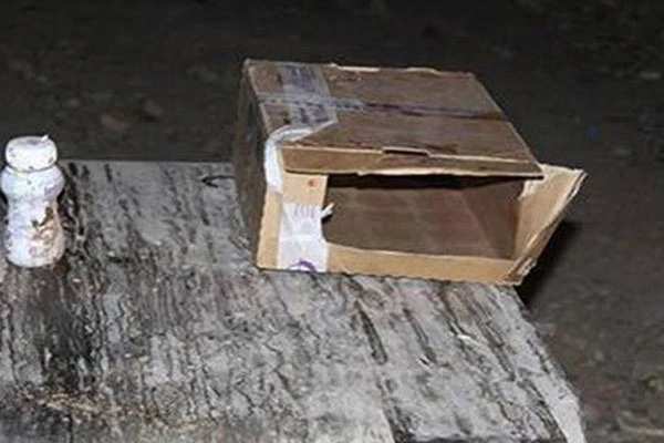 Çöpe atılan para bulundu