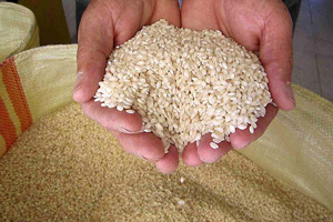 Toprak Mahsulleri Ofisi, marketlerde pirinç satacak