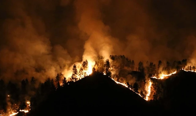 Rize'de korkutan orman yangını