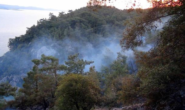 Muğla&#039;da orman yangını