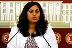Sebahat Tuncel'in hapis cezasına onama