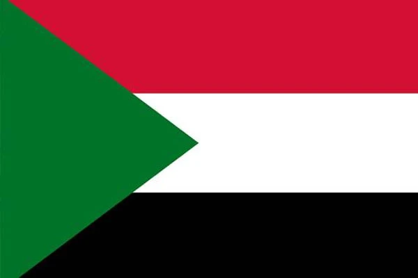 Sudan'dan BM görevlilerine 'Ülkeyi terk et' çağrısı