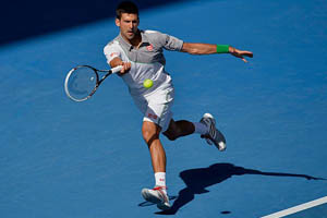 Djokovic ve Ferrer çeyrek finalde