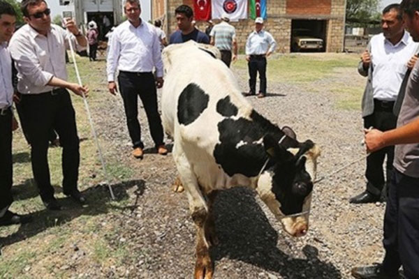 TİKA&#039;dan Azerbaycan çiftçisi için hibe