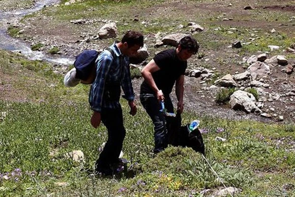 Yeryüzünde ilk defa bu ilimizde bulunan tür