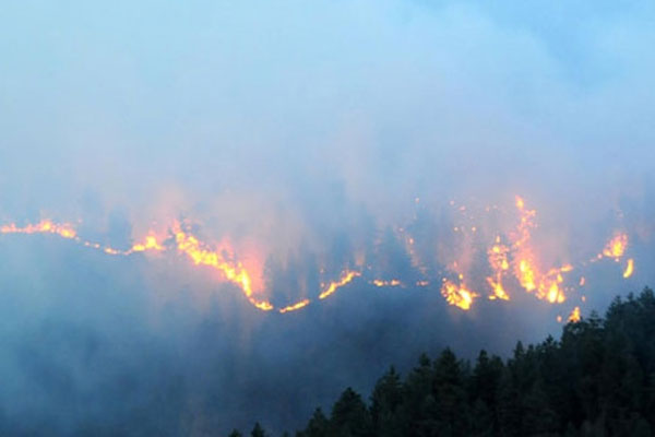 Kars Sarıkamış&#039;ta orman yangını