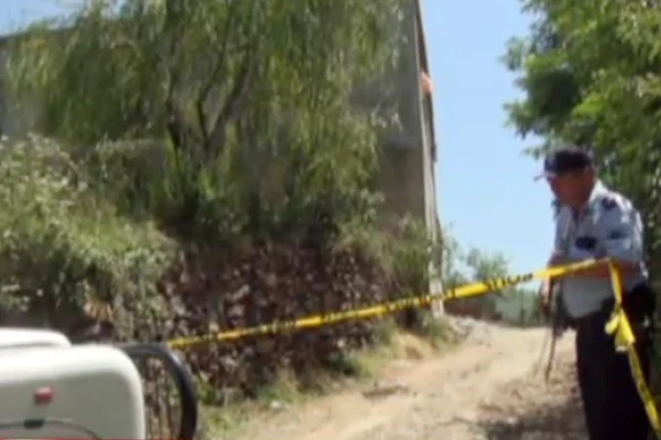 Yoldan geçen 3 yeğenini öldürdü