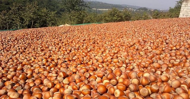 Anne babasını uyku ilacı ile uyutup bakın sonra ne yaptı