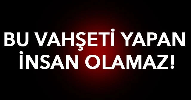 Bu vahşeti yapan insan olamaz!