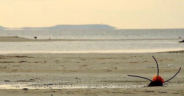 Çanakkale Boğazı'nda deniz suyu 20 metre çekildi