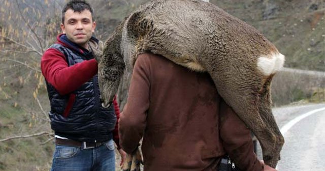 Karacayı vatandaşlar kurtardı