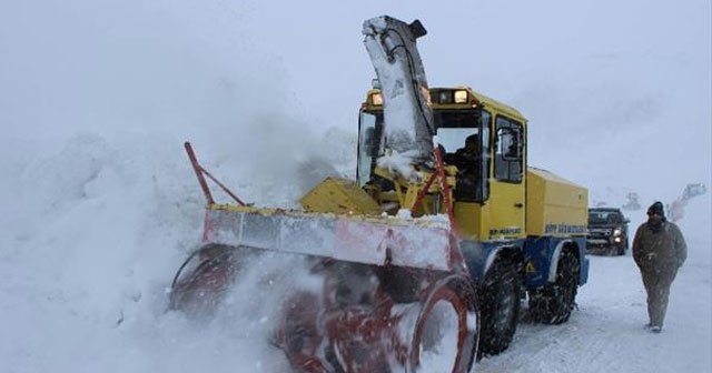 Mahsur kalanları kurtarmaya giderken çığ altında kaldılar