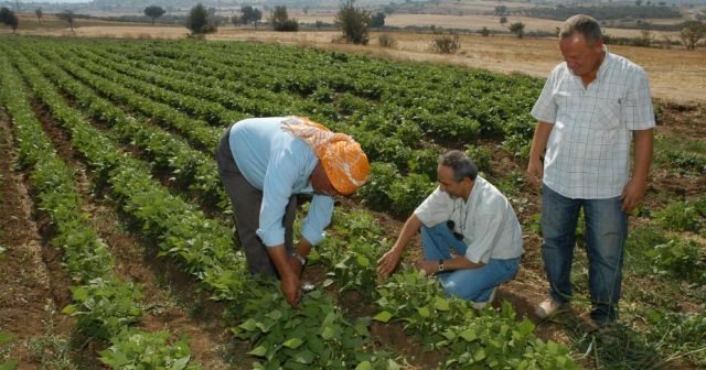 Çiftçiye verilen 3 destek için süre uzadı