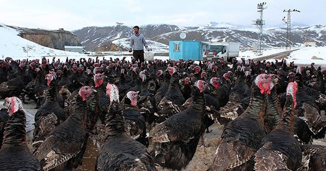 Çözüm süreci yatırımın önünü açtı