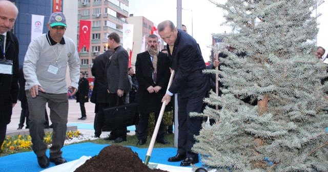 Cumhurbaşkanı Erdoğan fidan dikti