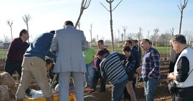 Fidan dikimi için 2 bin 500 kişi istihdam edilecek
