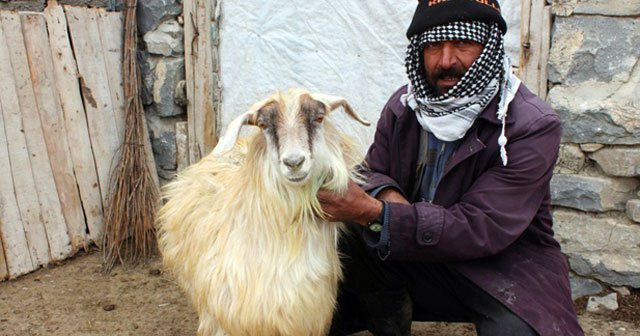 Minik Nehir’den geriye keçisi kaldı