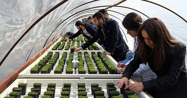 Saha zeminlerine 'bilimsel' yaklaşım