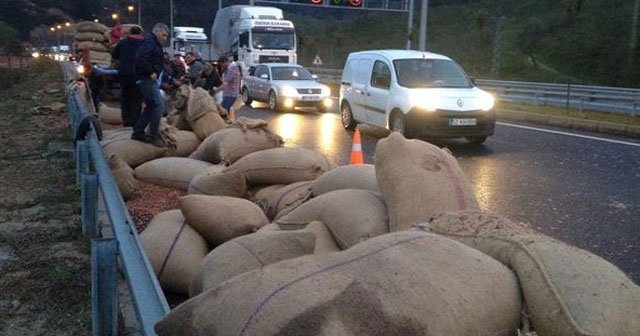 Tonlarca fındık yola saçıldı