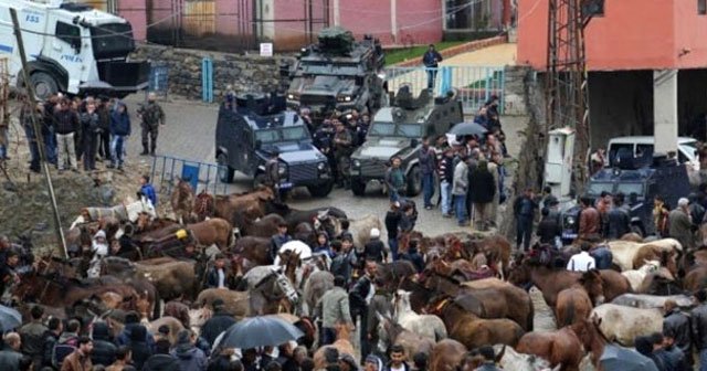 Uludere’de katırlı gergin yürüyüş