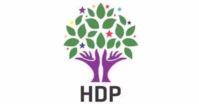 Abdullah Öcalan'ın yeğeni HDP'den aday oldu