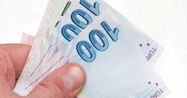 Ayda 1300 lira devlet desteği