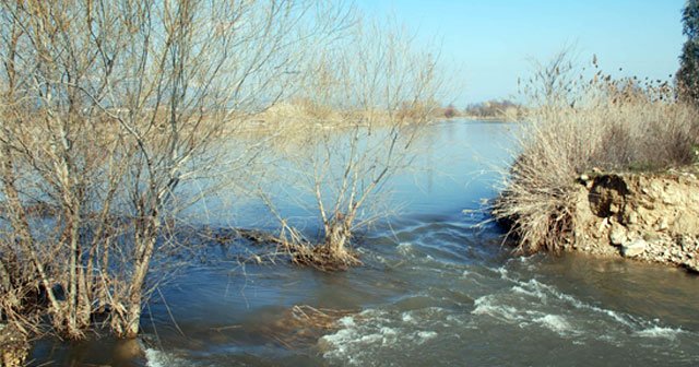 Aydın&#039;da sel can aldı