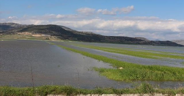 Barajdan taşan sular, ovayı göle çevirdi