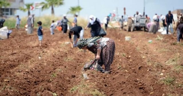 Büyük oyun bozuldu, 3 TL ucuzlayacak