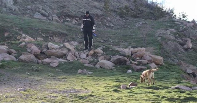 Dağ’da kaybolan şahsı arama çalışması başlatıldı