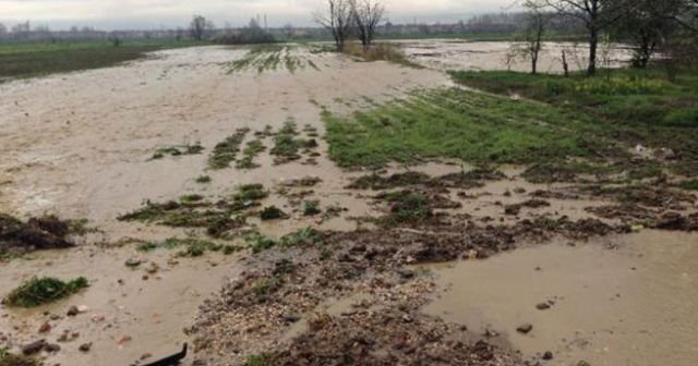 Dere taştı, ekili alanlar sular altında kaldı