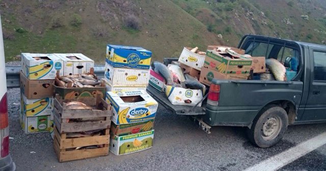 Elazığ&#039;da 1,5 ton kaçak balık ele geçirildi