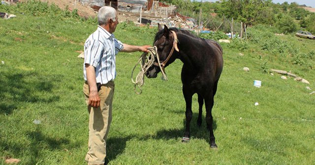 5 bin lira maaşlı at çobanı iş başı yaptı