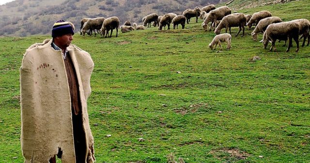 Çobanlara sertifika, ilk mezunlar belgesini aldı