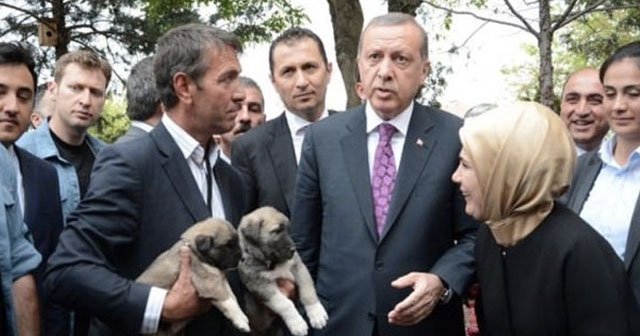 Cumhurbaşkanı Erdoğan&#039;la vatandaşların neşeli sohbeti