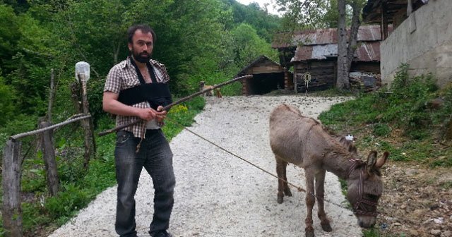 Eşeğin saldırısına uğradı, eski sahibine dava açtı