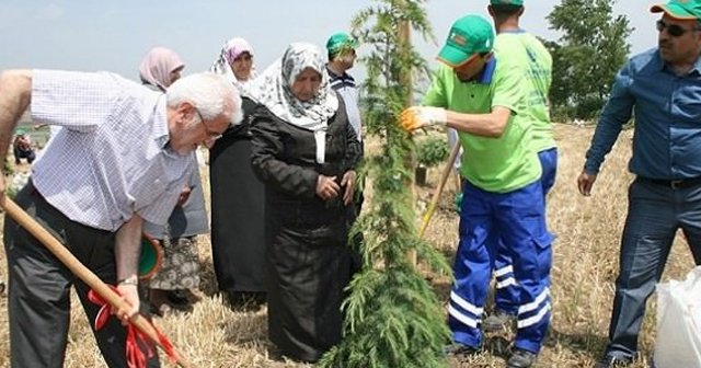 Şehit savcı Kiraz anısına hatıra ormanı